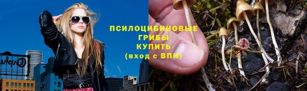 спайс Беломорск