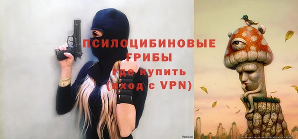 прущий лед Белокуриха